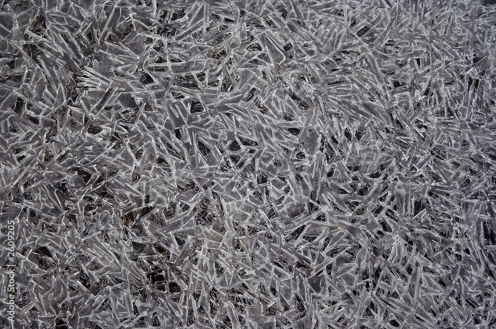 ice ice