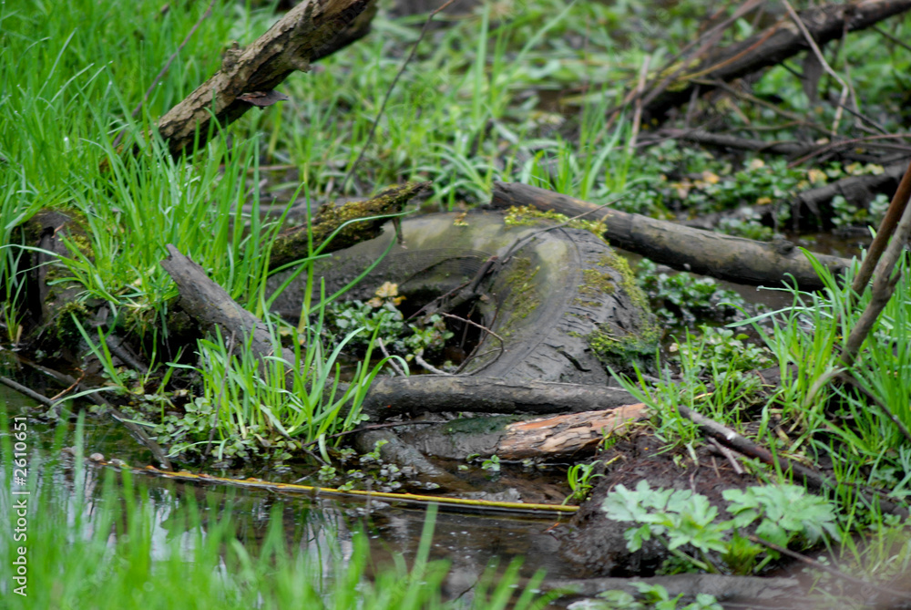 old tyre in puddle old tyre in puddle