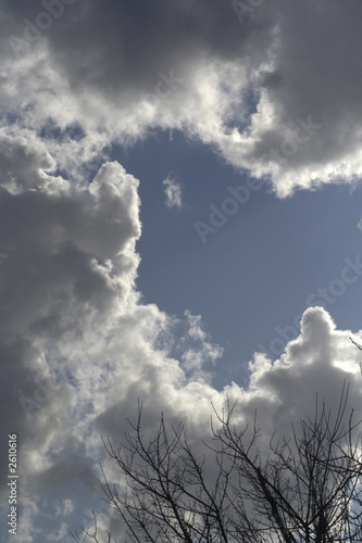 clouds and branches