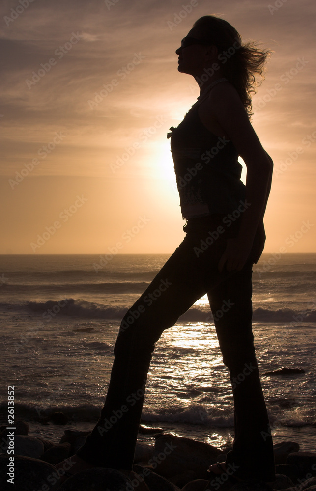 Fototapeta premium silhouette of a woman at sunset.