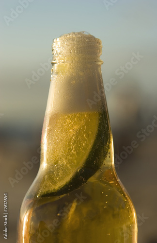 mexican beer