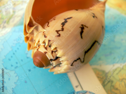 sea associations 8