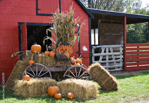 halloween scene