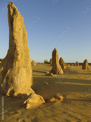 the pinnacles desert