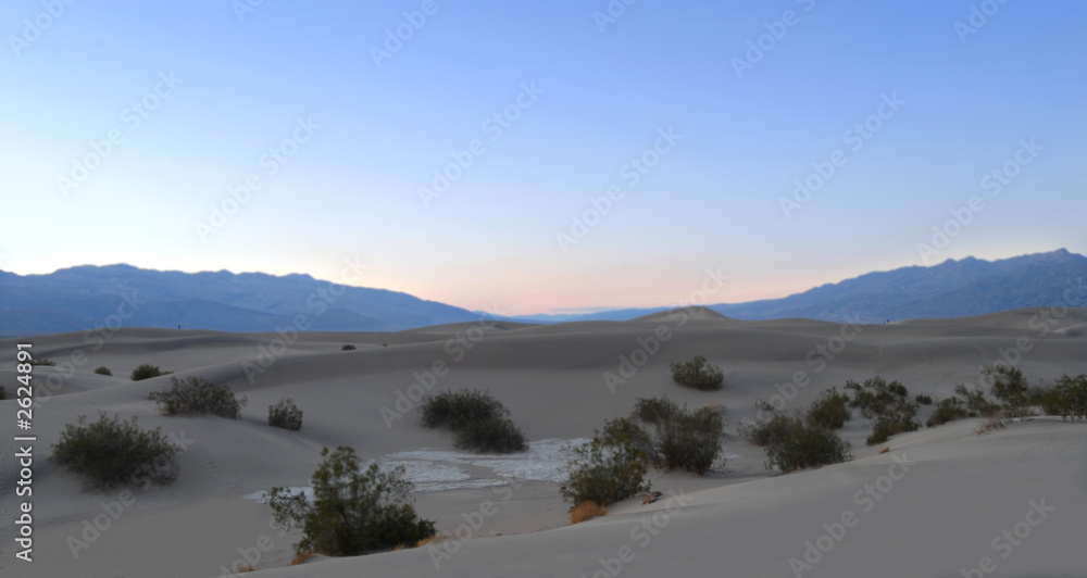 the sand dunes with brush in death valley california at sunset