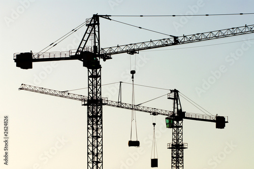 cranes horizontal photo