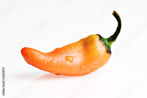orange pepper