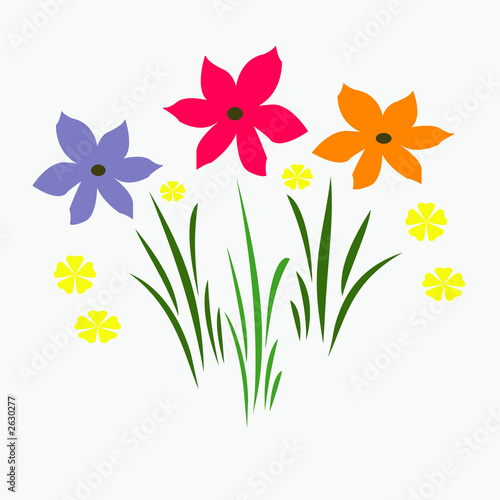 spring flower garden