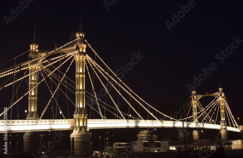 the albert bridge