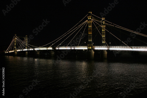 the albert bridge