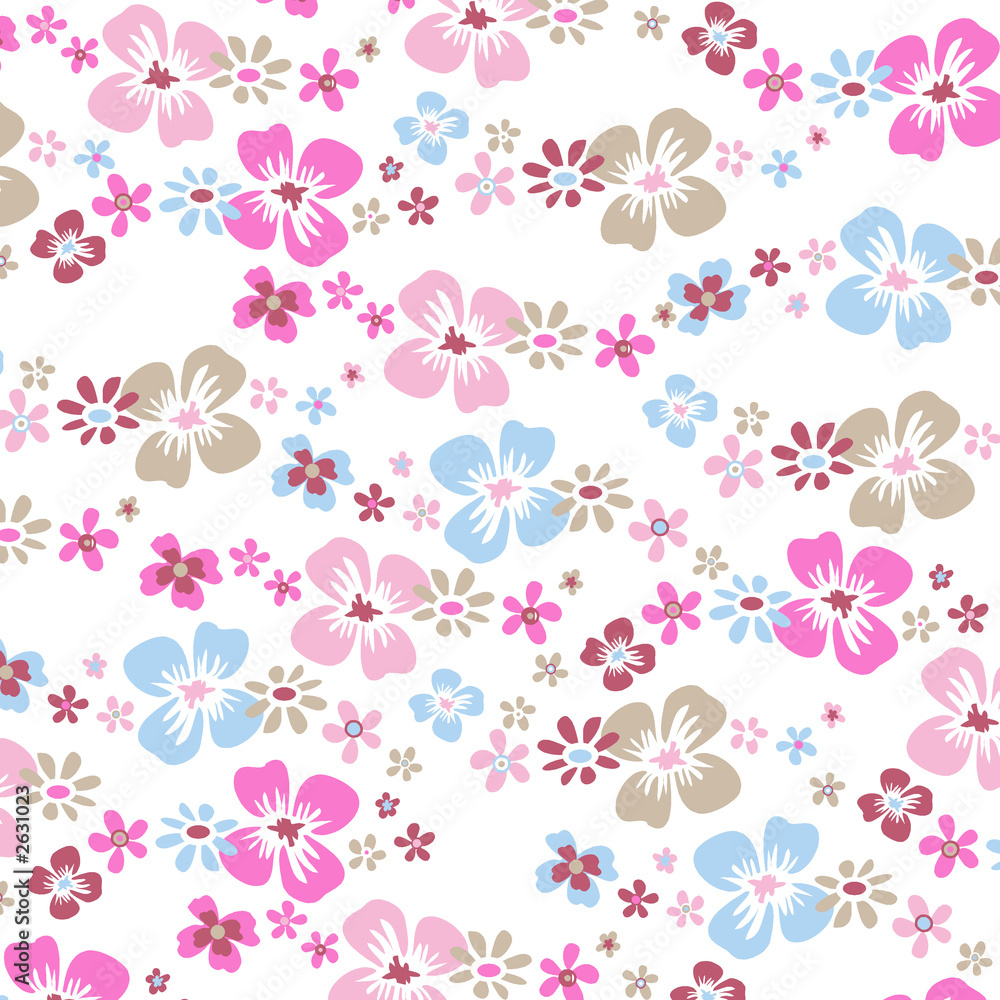 fleurs fond blanc fleurs fond blanc