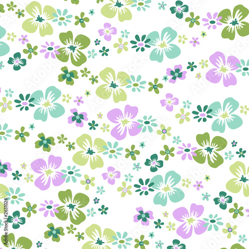 fleurs fond blanc