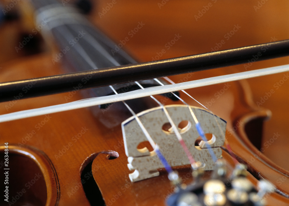 violin and bow violin and bow
