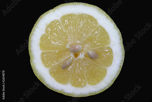 tranche de citron photo