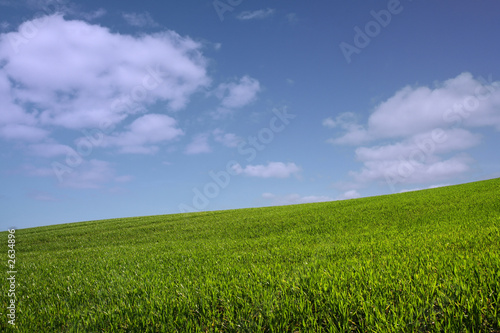 the green hill (horizontal)