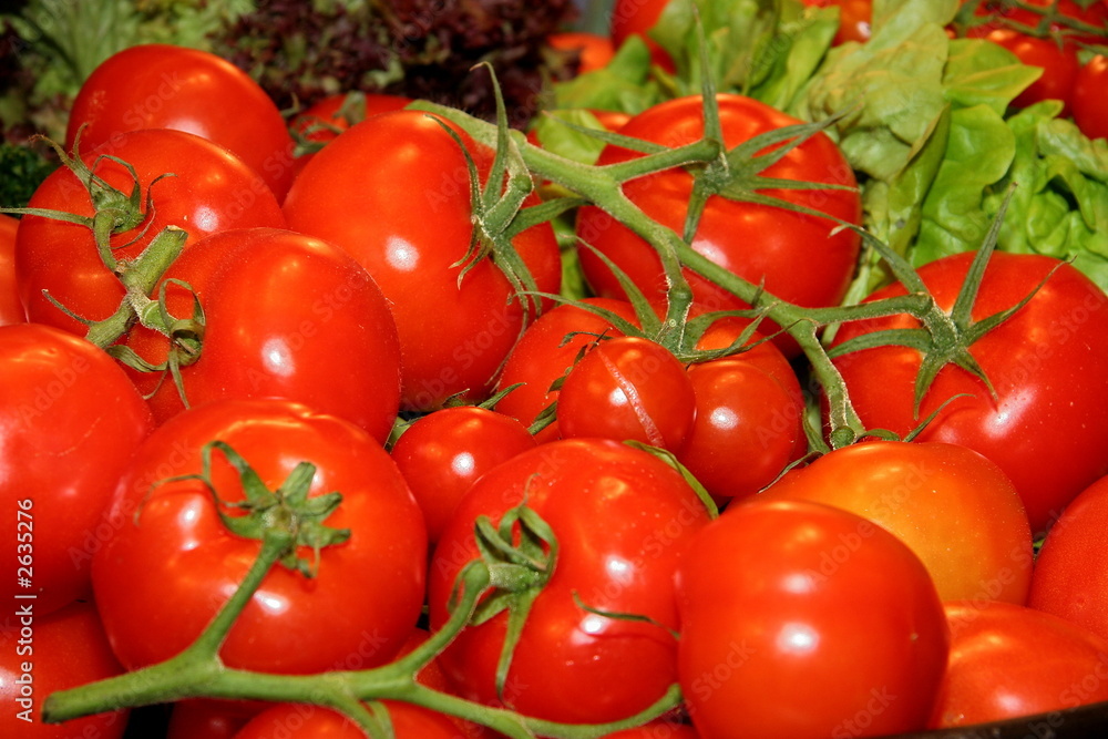 tomates tomates