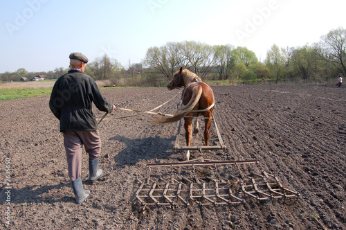 farmer at work , plowing the land photo