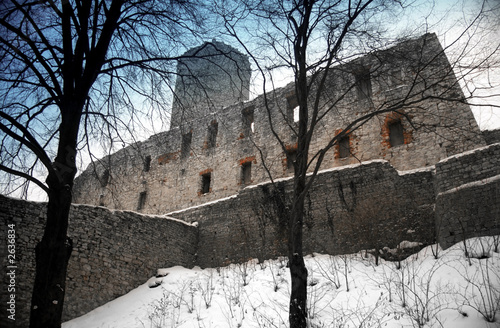 babice - lipowiec castle photo