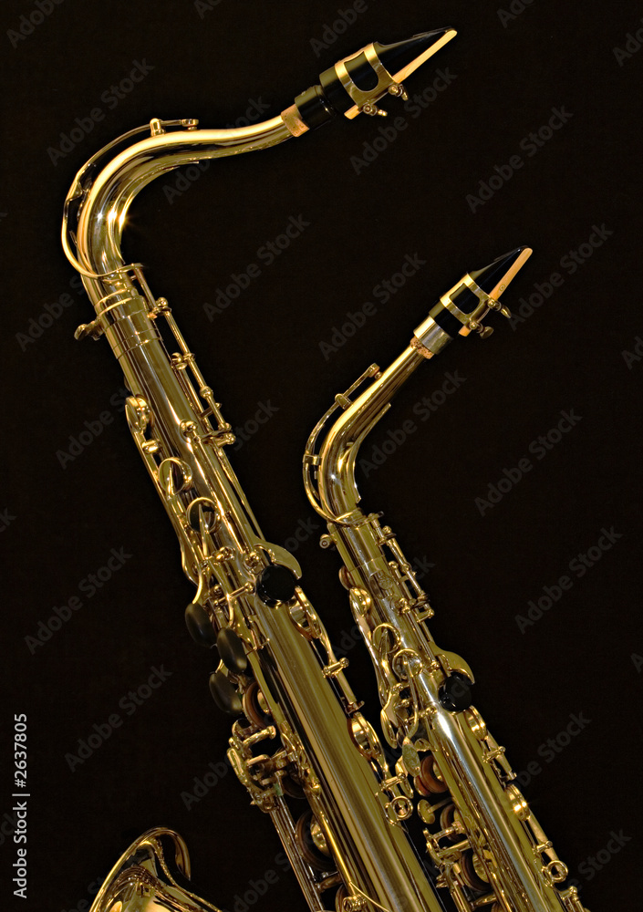 Fototapeta premium alto and tenor sax 2