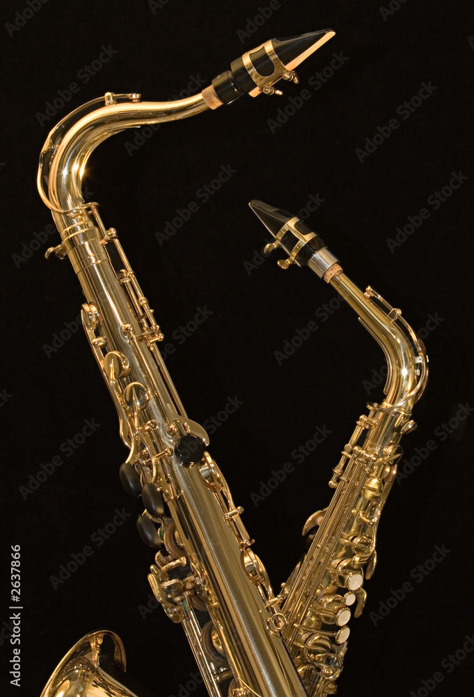 Naklejka premium alto and tenor sax 1