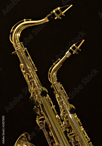 alto and tenor sax 2
