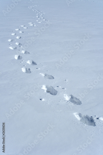 footprints in the snow