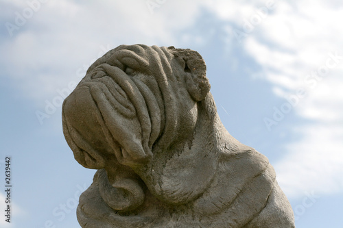 bulldog