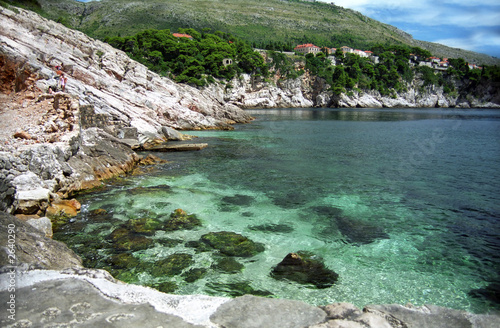 Fototapeta Naklejka Na Ścianę i Meble -  adriatic coast in dubrovnik
