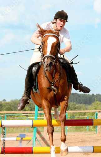 show jumping