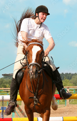 show jumping © Andrei Armiagov