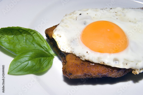schnitzel