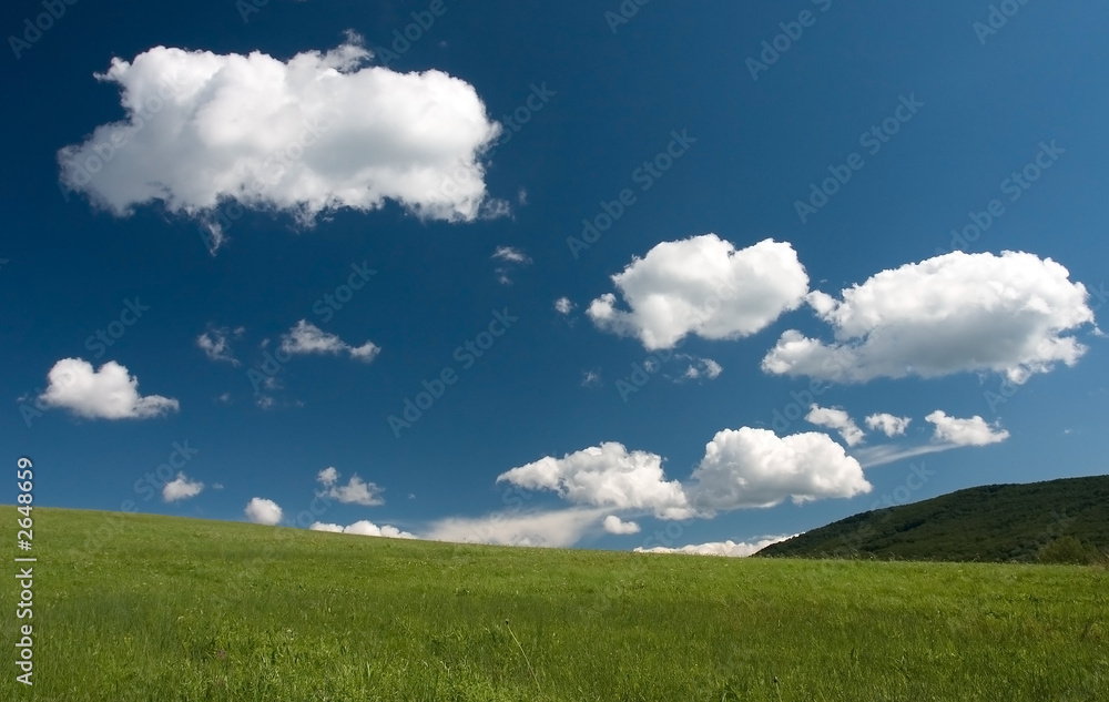green grass blue sky and white clouds green grass blue sky and white clouds