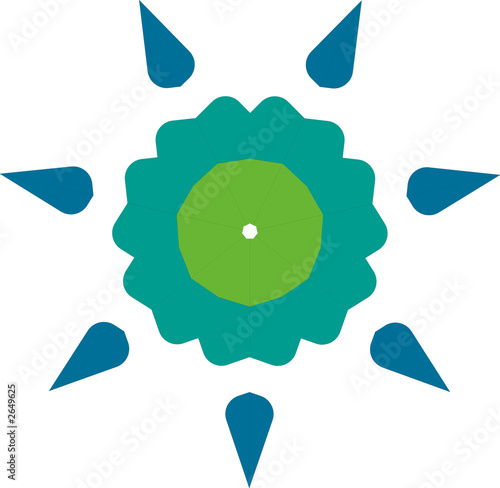 pointy star flower