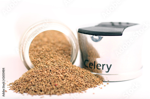 celery powder and shaker