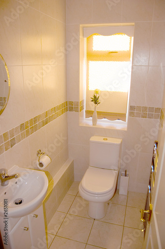 Принти на полотні small bathroom