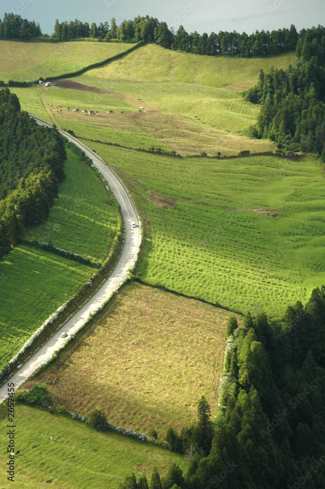 Obraz premium azores island landscape and curvy and windy roads