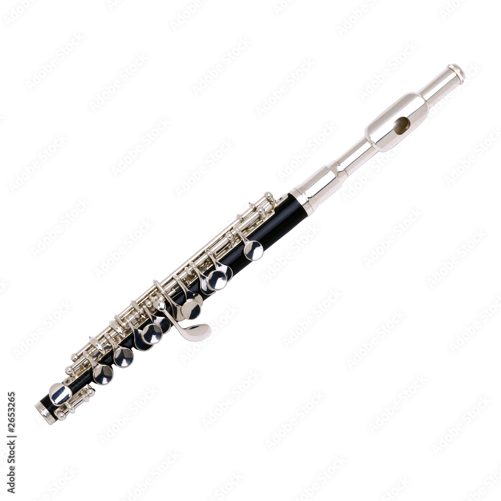 Obraz premium flute