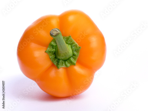 single orange paprika