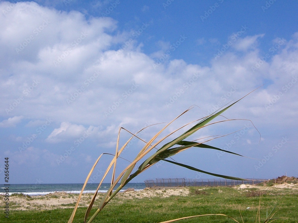 Fototapeta premium summer landscape
