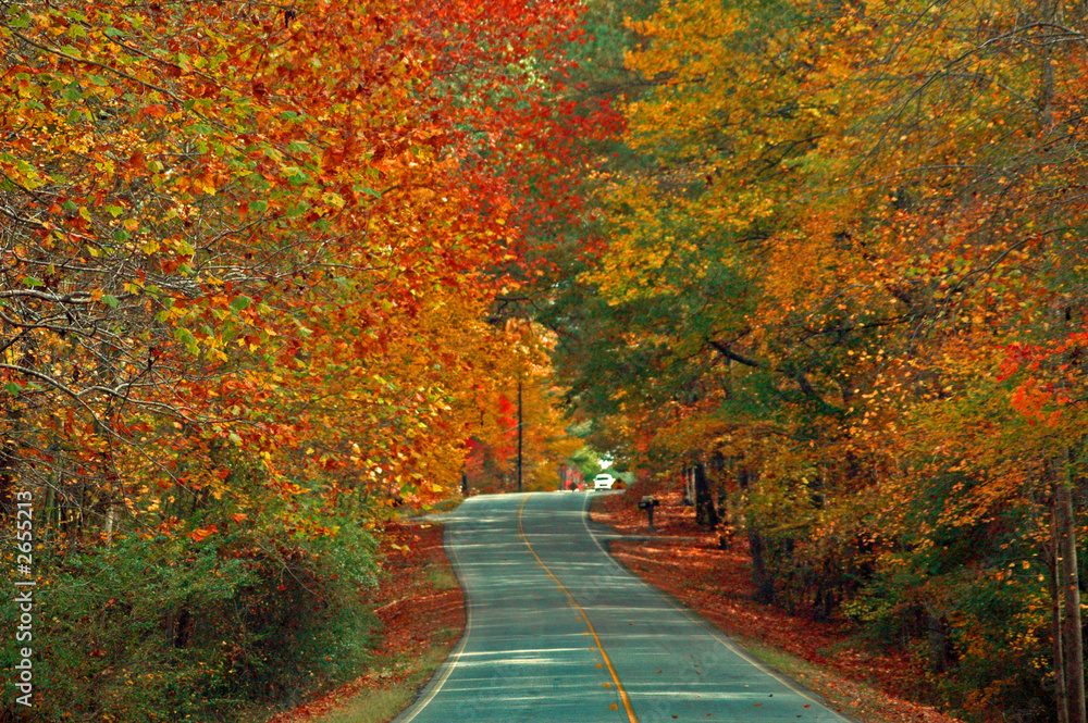 Naklejka premium fall highway