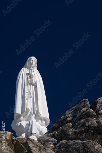 virgin mary