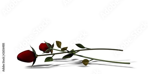 rosen