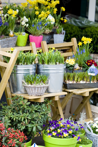 Canvas Print flowershop in springtime