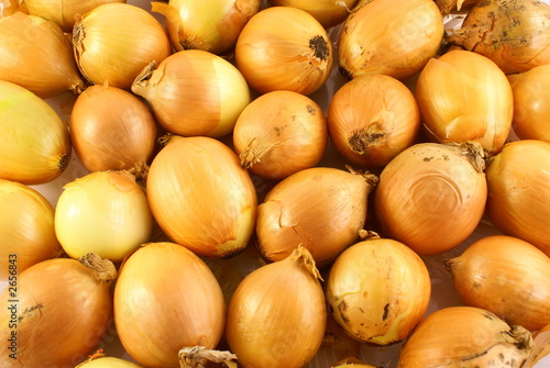 brown onion on closeup