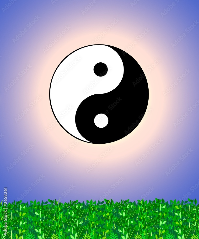 ying yang sonne ying yang sonne