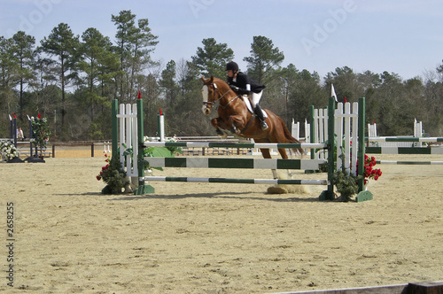 taking the jump
