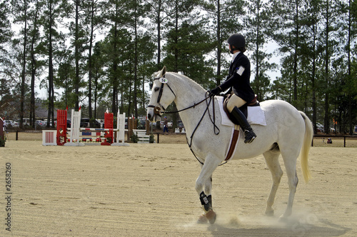 horse trials 5