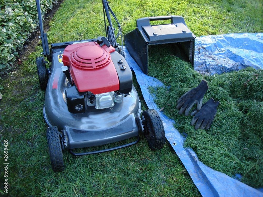 lawn mower