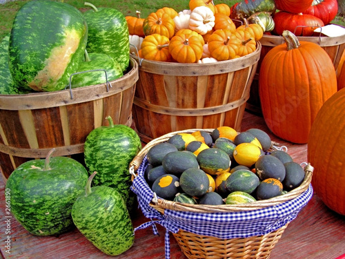 farm market-roadside photo