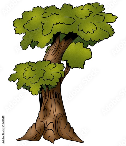 tree deciduous
